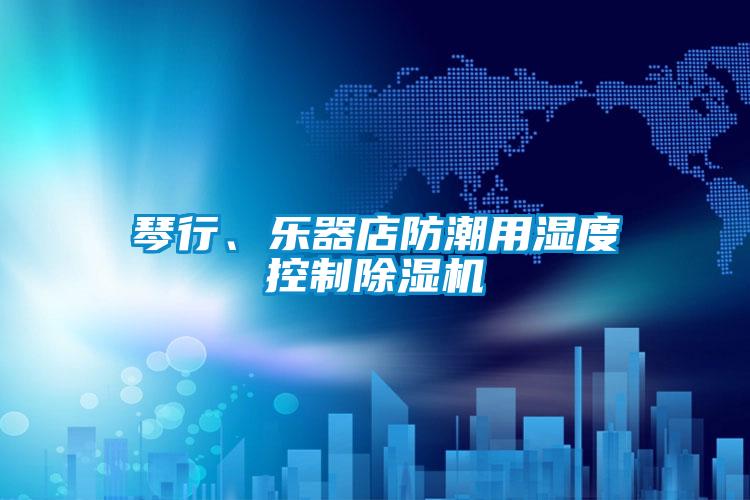 琴行、乐器店防潮用湿度控制麻豆视频黄网站