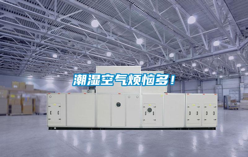 潮湿空气烦恼多！