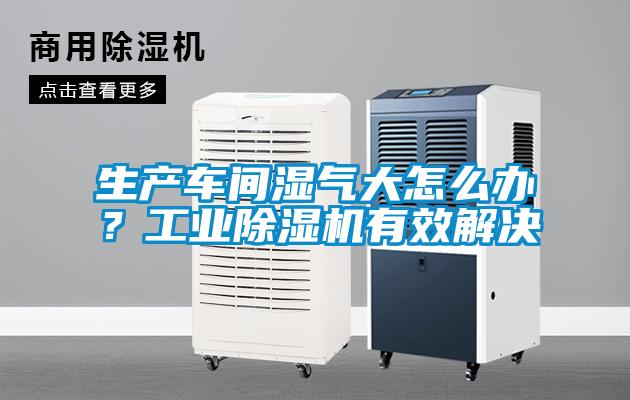 生产车间湿气大怎么办？工业麻豆视频黄网站有效解决