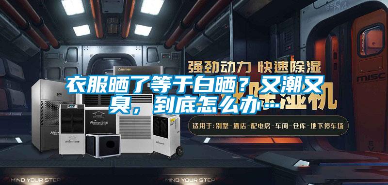 衣服晒了等于白晒？又潮又臭，到底怎么办…