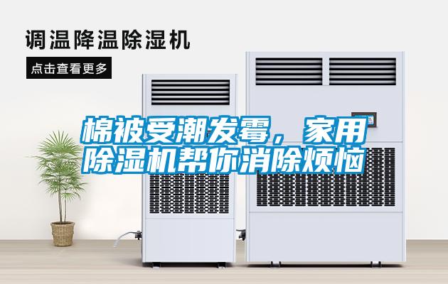 棉被受潮发霉，家用麻豆视频黄网站帮你消除烦恼
