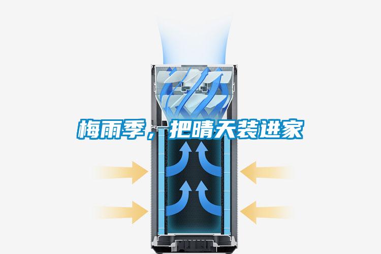 梅雨季，把晴天装进家