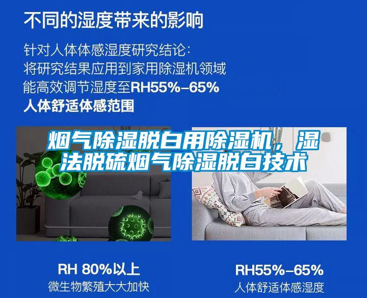 烟气除湿脱白用麻豆视频黄网站，湿法脱硫烟气除湿脱白技术
