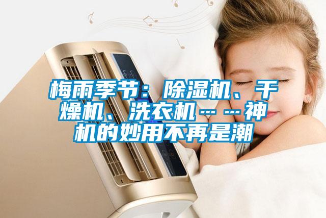 梅雨季节：麻豆视频黄网站、干燥机、洗衣机……神机的妙用不再是潮