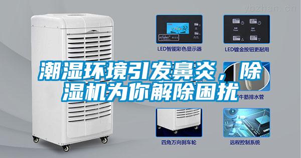 潮湿环境引发鼻炎，麻豆视频黄网站为你解除困扰