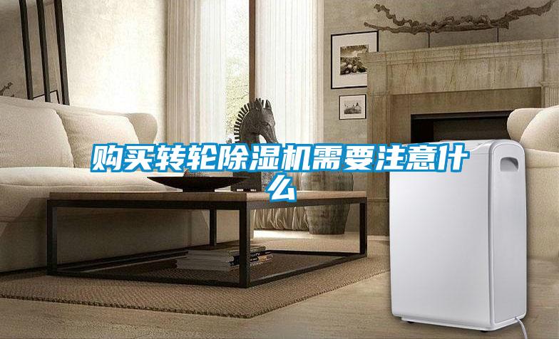 购买转轮麻豆视频黄网站需要注意什么