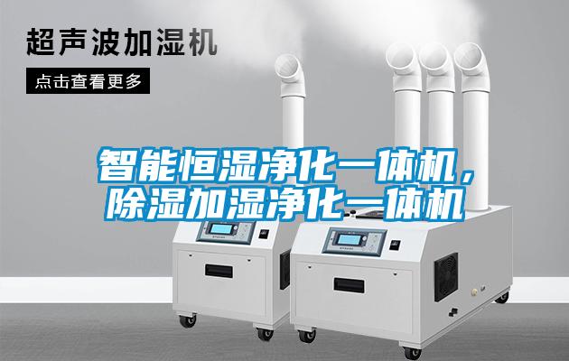 智能恒湿净化一体机，除湿加湿净化一体机