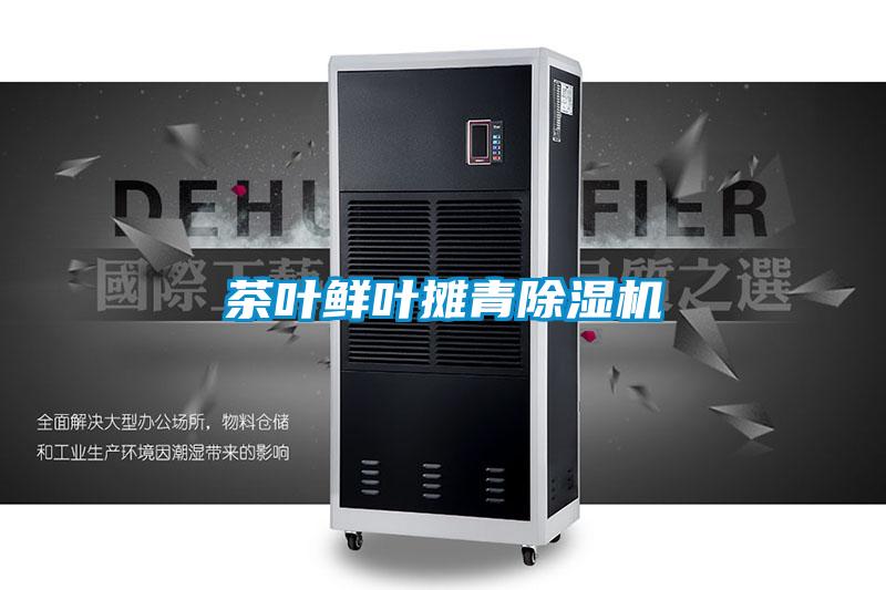 茶叶鲜叶摊青麻豆视频黄网站