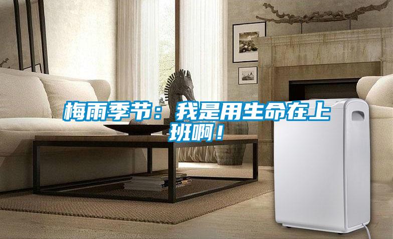梅雨季节：我是用生命在上班啊！