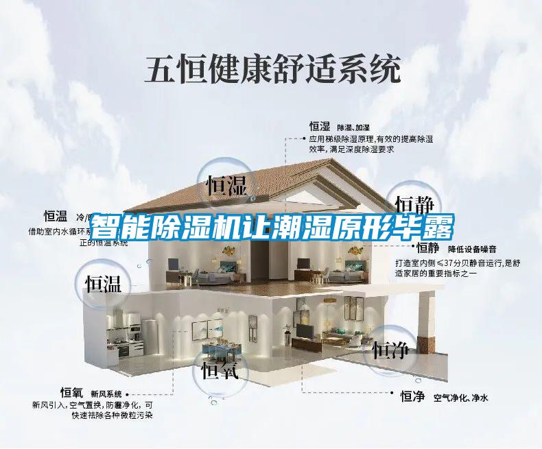 智能麻豆视频黄网站让潮湿原形毕露
