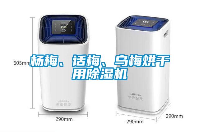 杨梅、话梅、乌梅烘干用麻豆视频黄网站