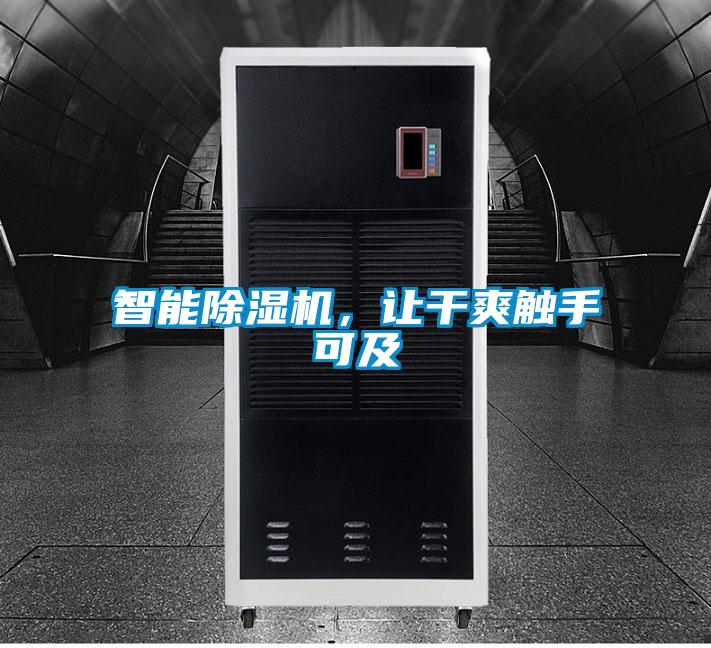 智能麻豆视频黄网站，让干爽触手可及