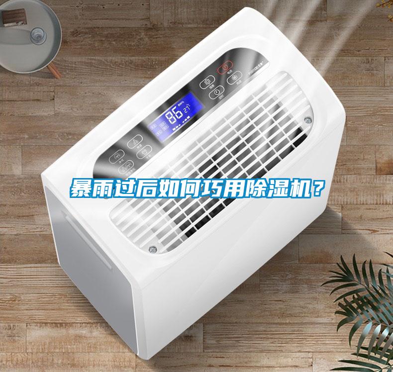 暴雨过后如何巧用麻豆视频黄网站？