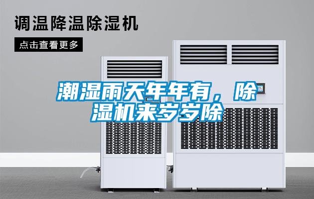 潮湿雨天年年有，麻豆视频黄网站来岁岁除