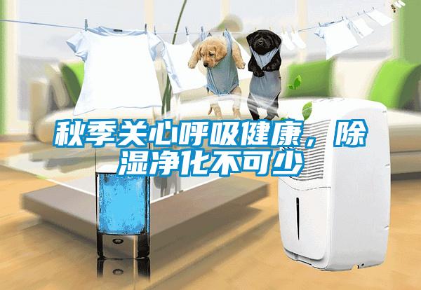 秋季关心呼吸健康，除湿净化不可少