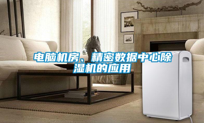 电脑机房、精密数据中心麻豆视频黄网站的应用