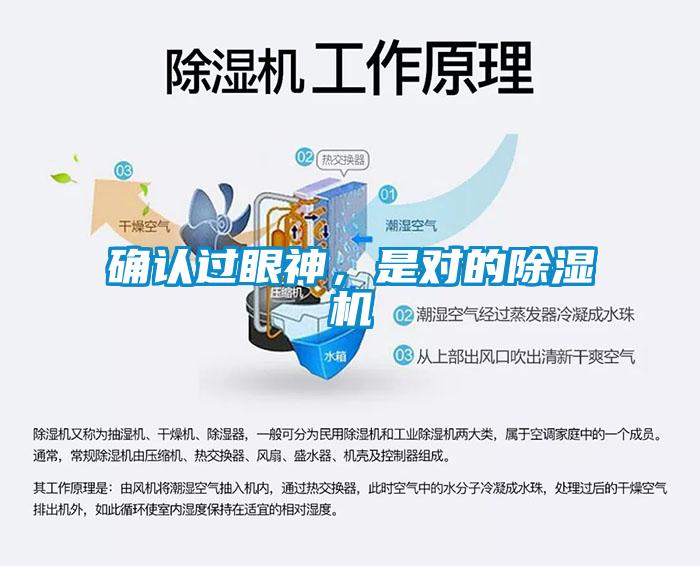 确认过眼神，是对的麻豆视频黄网站