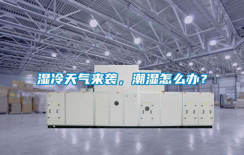 湿冷天气来袭，潮湿怎么办？