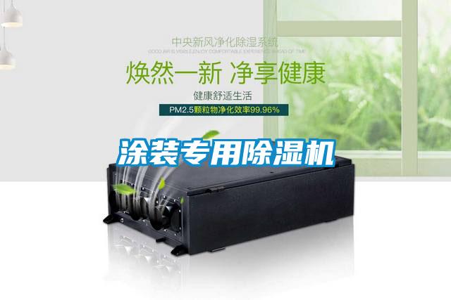 涂装专用麻豆视频黄网站