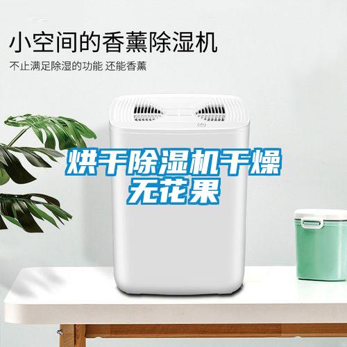 烘干麻豆视频黄网站干燥无花果