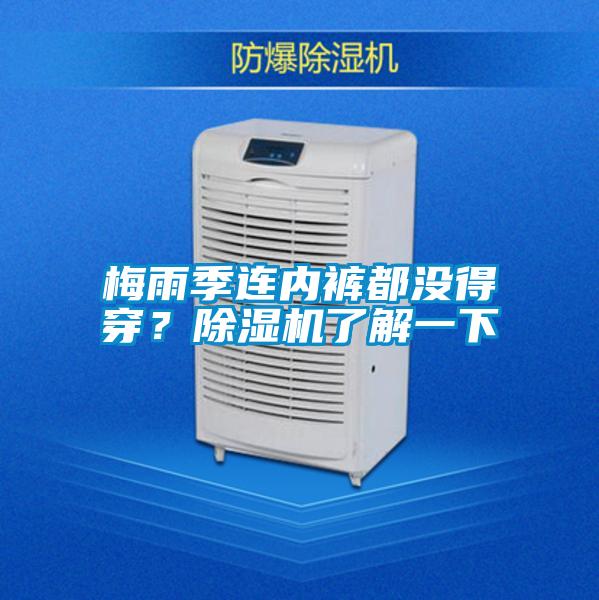 梅雨季连内裤都没得穿？麻豆视频黄网站了解一下