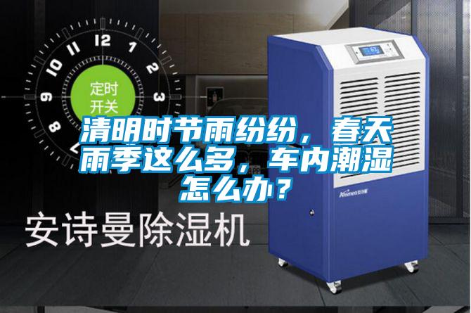 清明时节雨纷纷，春天雨季这么多，车内潮湿怎么办？