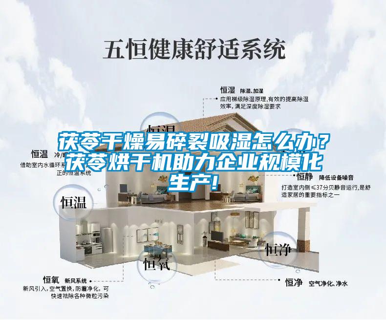茯苓干燥易碎裂吸湿怎么办？茯苓烘干机助力企业规模化生产!