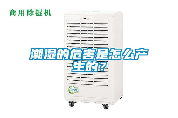 潮湿的危害是怎么产生的？