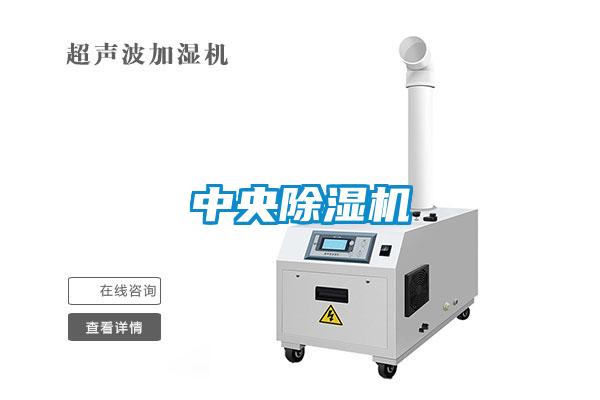 中央麻豆视频黄网站