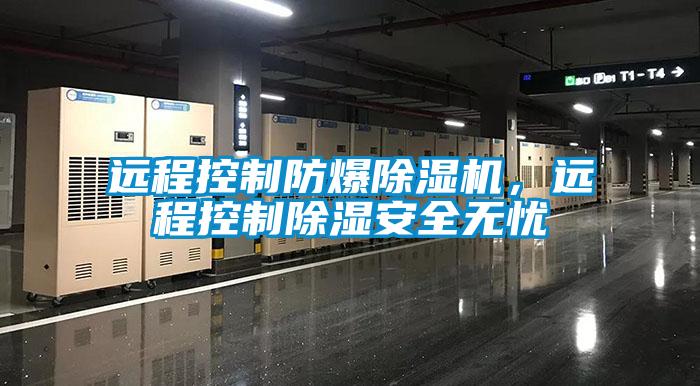 远程控制防爆麻豆视频黄网站，远程控制除湿安全无忧