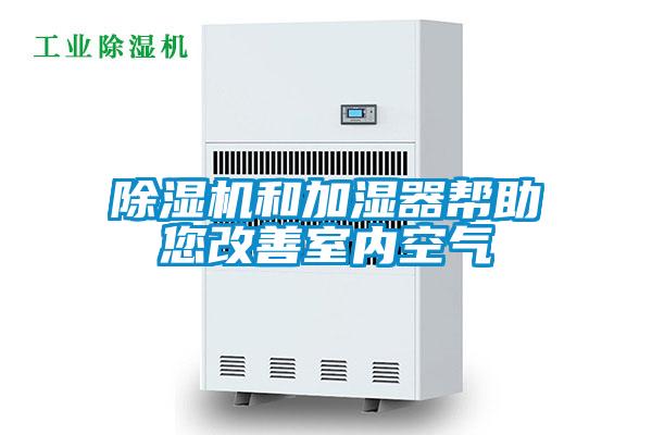 麻豆视频黄网站和加湿器帮助您改善室内空气