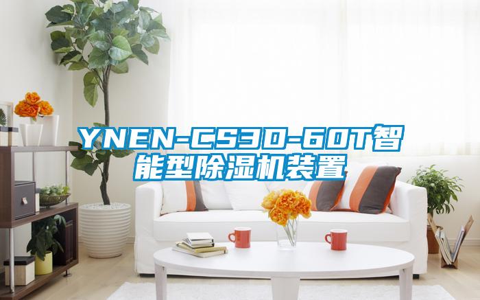 YNEN-CS3D-60T智能型麻豆视频黄网站装置