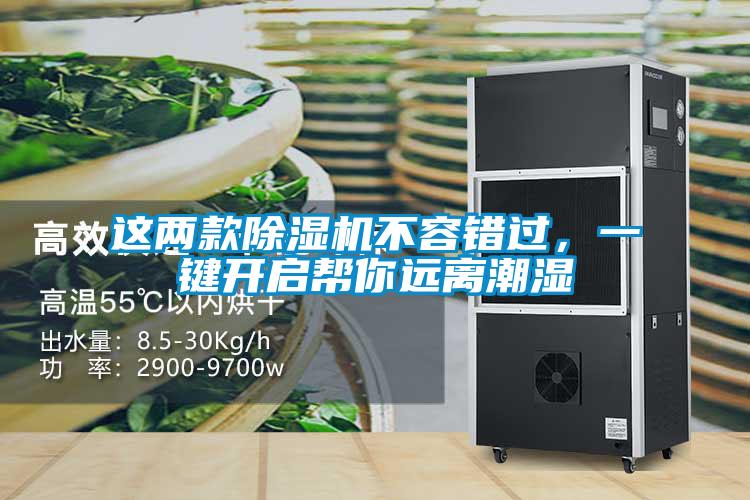 这两款麻豆视频黄网站不容错过，一键开启帮你远离潮湿