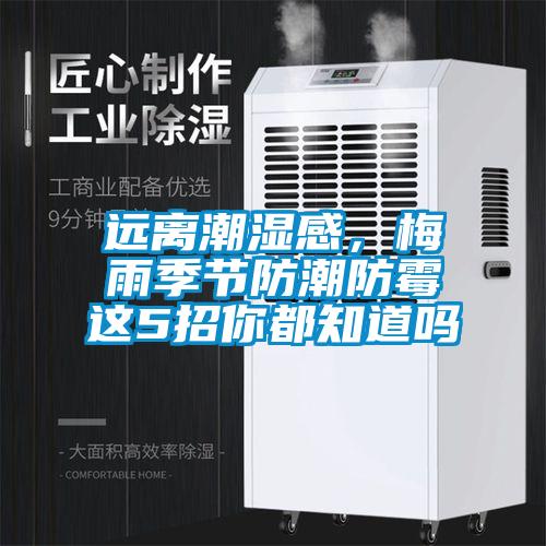 远离潮湿感，梅雨季节防潮防霉这5招你都知道吗