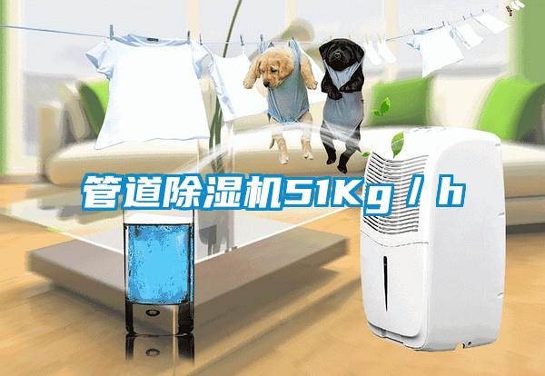 管道麻豆视频黄网站51Kg／h