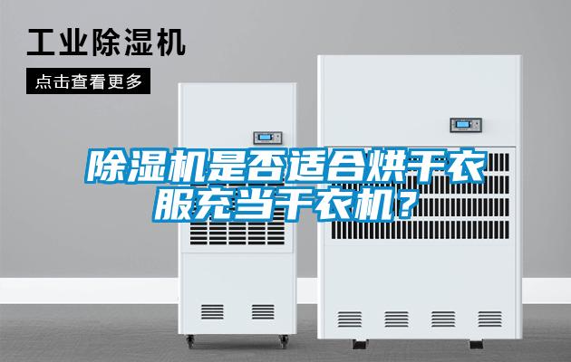 麻豆视频黄网站是否适合烘干衣服充当干衣机？