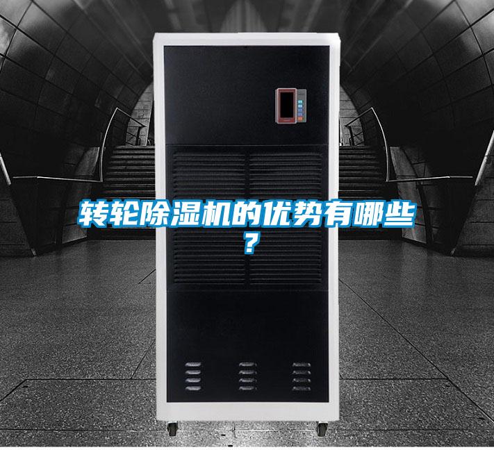 转轮麻豆视频黄网站的优势有哪些？