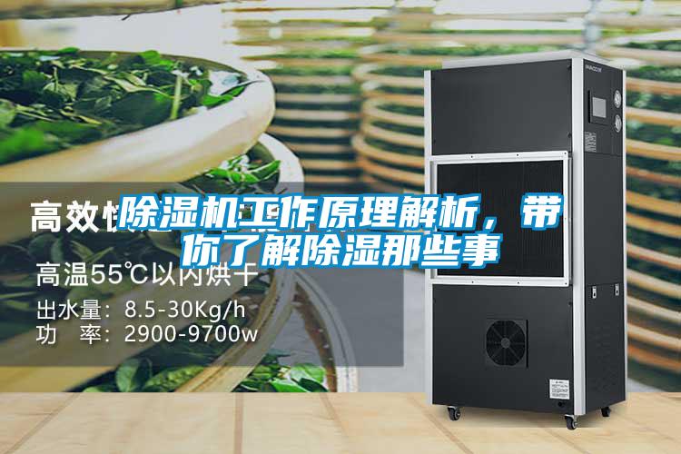 麻豆视频黄网站工作原理解析，带你了解除湿那些事