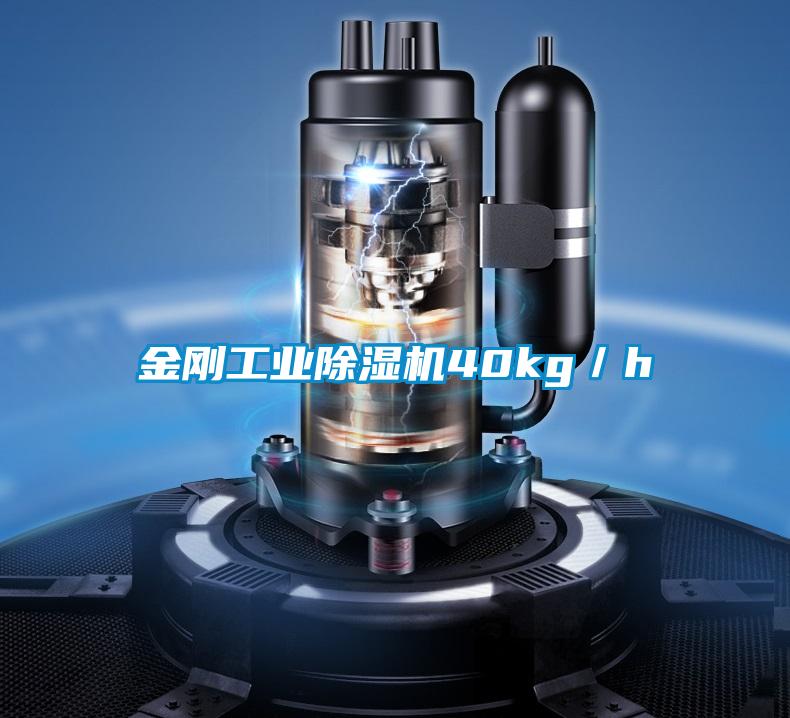 金刚工业麻豆视频黄网站40kg／h
