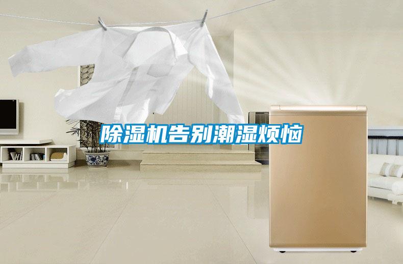 麻豆视频黄网站告别潮湿烦恼