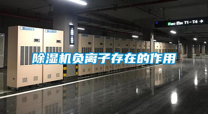 麻豆视频黄网站负离子存在的作用