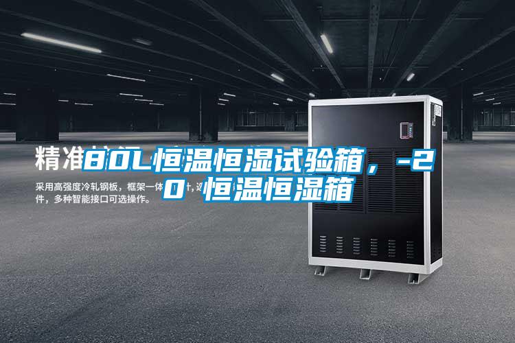 80L恒温恒湿试验箱，-20℃恒温恒湿箱
