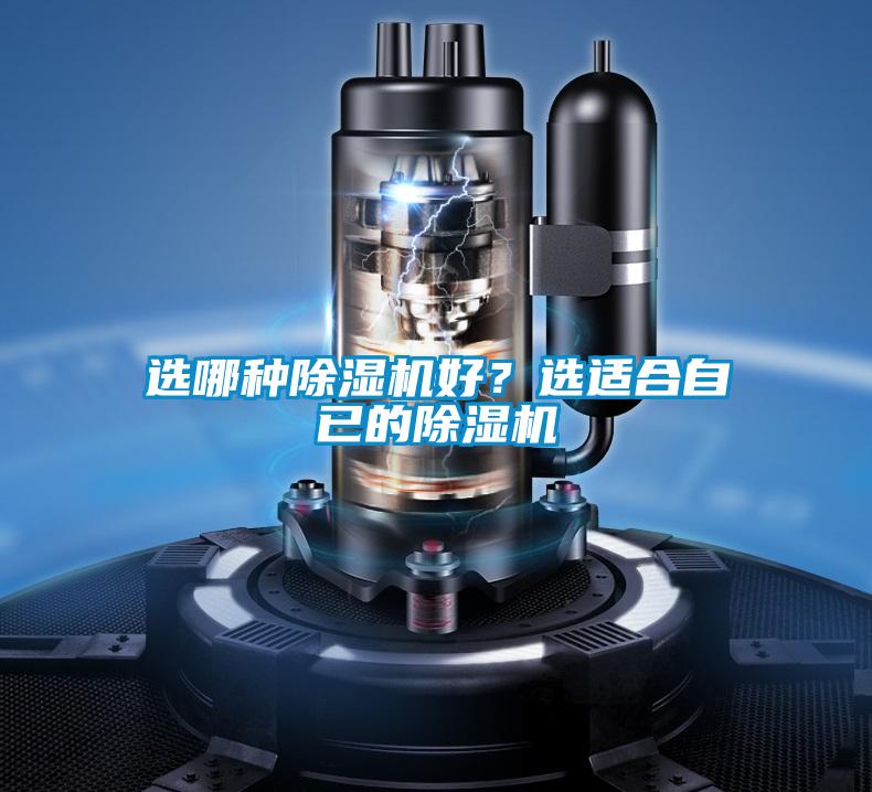 选哪种麻豆视频黄网站好？选适合自已的麻豆视频黄网站