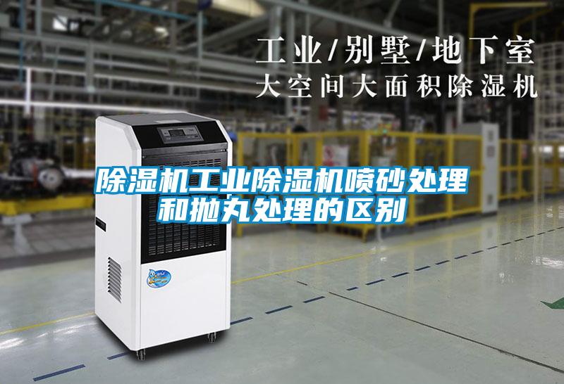 麻豆视频黄网站工业麻豆视频黄网站喷砂处理和抛丸处理的区别