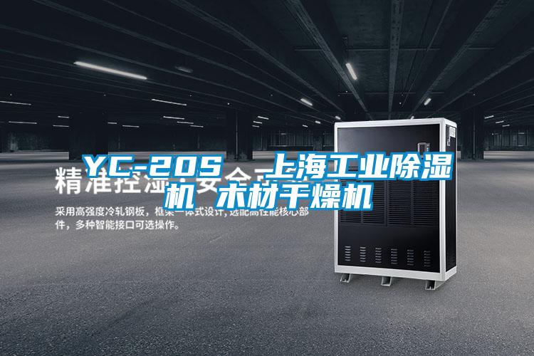YC-20S  上海工业麻豆视频黄网站 木材干燥机