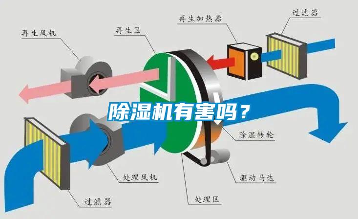 麻豆视频黄网站有害吗？