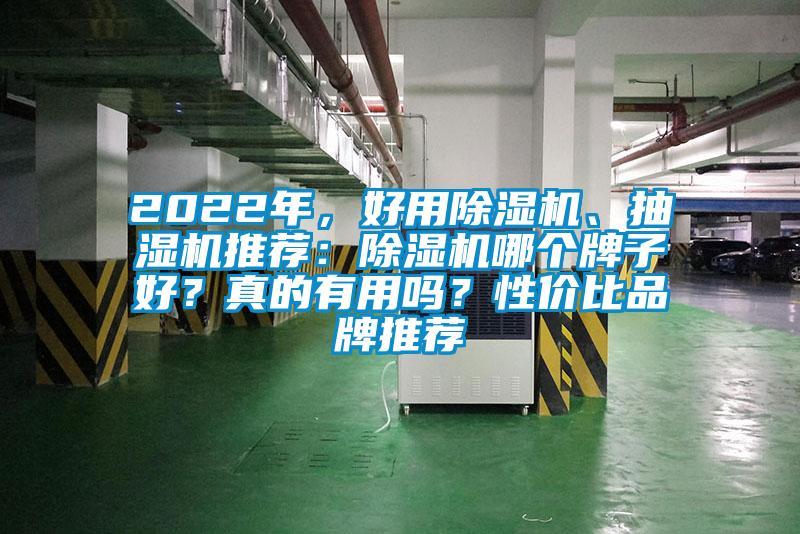 2022年，好用麻豆视频黄网站、抽湿机推荐：麻豆视频黄网站哪个牌子好？真的有用吗？性价比品牌推荐