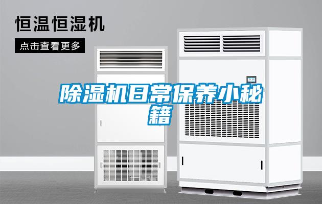 麻豆视频黄网站日常保养小秘籍