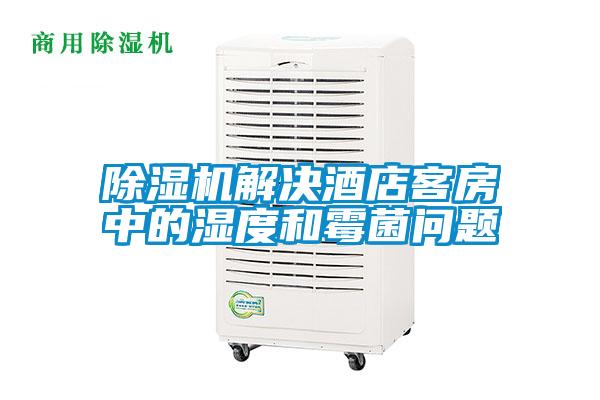 麻豆视频黄网站解决酒店客房中的湿度和霉菌问题