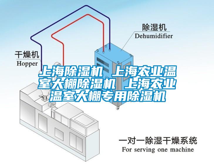 上海麻豆视频黄网站 上海农业温室大棚麻豆视频黄网站 上海农业温室大棚专用麻豆视频黄网站